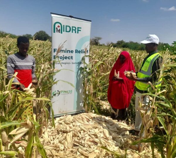 Building Resilience: How Communities Can Thrive Amid Climate Challenges.