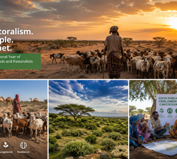 International Year of Rangelands and Pastoralists 2026