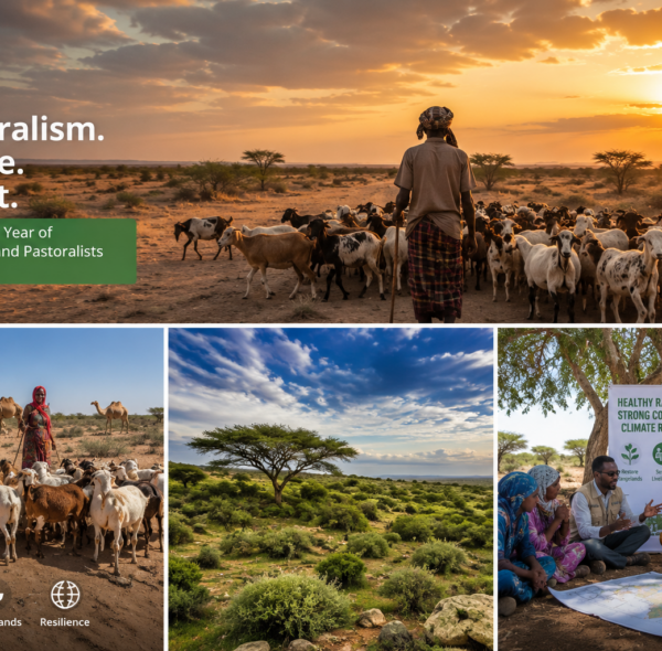 International Year of Rangelands and Pastoralists 2026